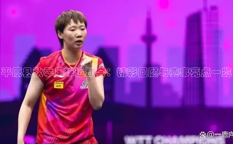 米兰体育中心文心一言平原县秋季足球运动会：精彩回顾与赛事亮点一览