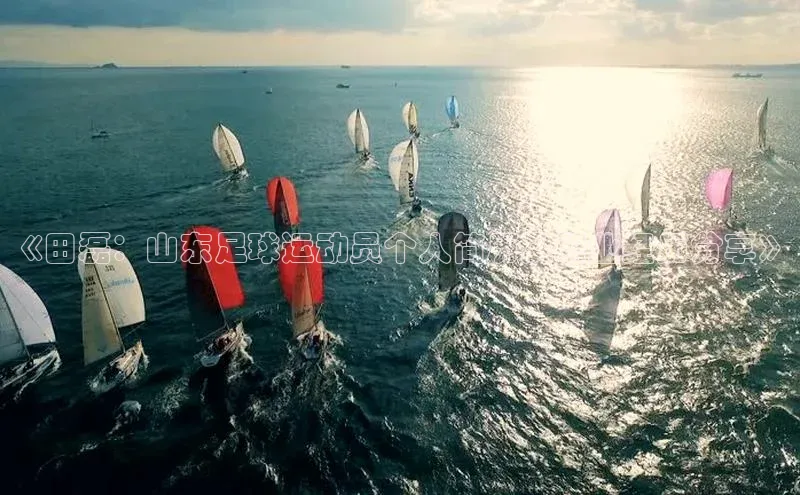 米兰官网首页登录入口皮阿诺《田磊：山东足球运动员个人简历及职业经历分享》