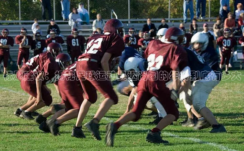 米兰体育全站app官网百度数据开放平台标题建议：揭秘足球运动员迟尚国的年龄到底有多大