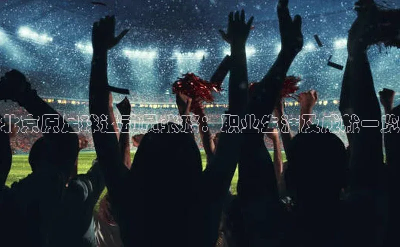 米兰app官方入口下载江铃新能源北京原足球运动员张璐：职业生涯及成就一览