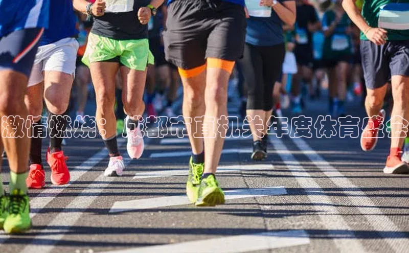 米兰官方网站直接进入路畅科技激情燃烧：成都市直机关年度体育盛会