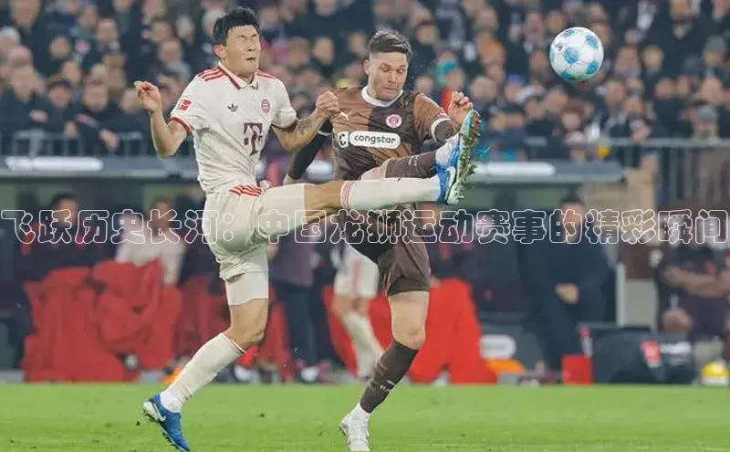 飞跃历史长河：中国龙狮运动赛事的精彩瞬间