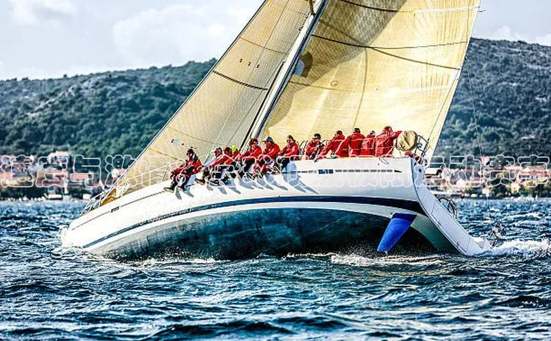 速度与激情：全球顶级极限运动赛事