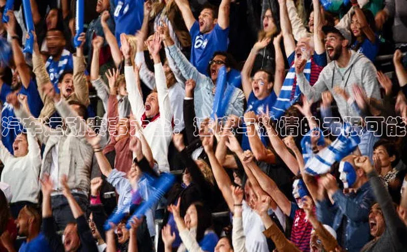 汽车运动赛事大全：速度与激情的无限可能