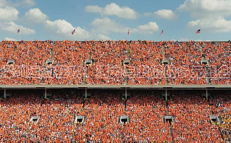 深圳运动狂欢：活力与激情的多元盛会