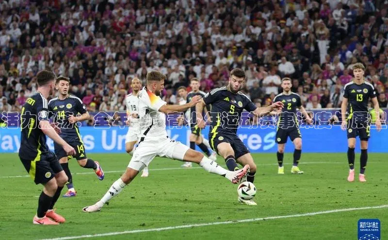 活力激荡：全年龄段青少年运动赛事深度与展望