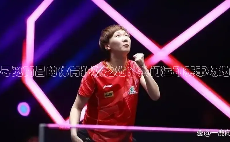 寻觅南昌的体育狂欢之地：热门运动赛事场地