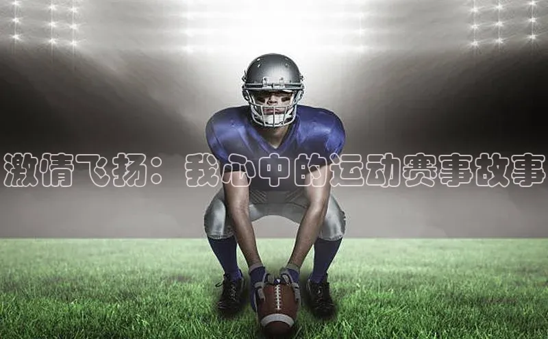 激情飞扬：我心中的运动赛事故事