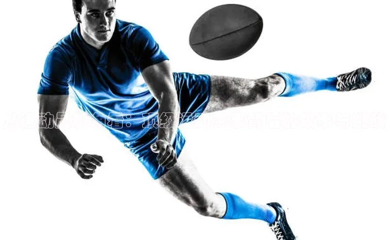 米兰·全站APP登录入口