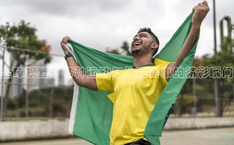 米兰·全站APP登录入口