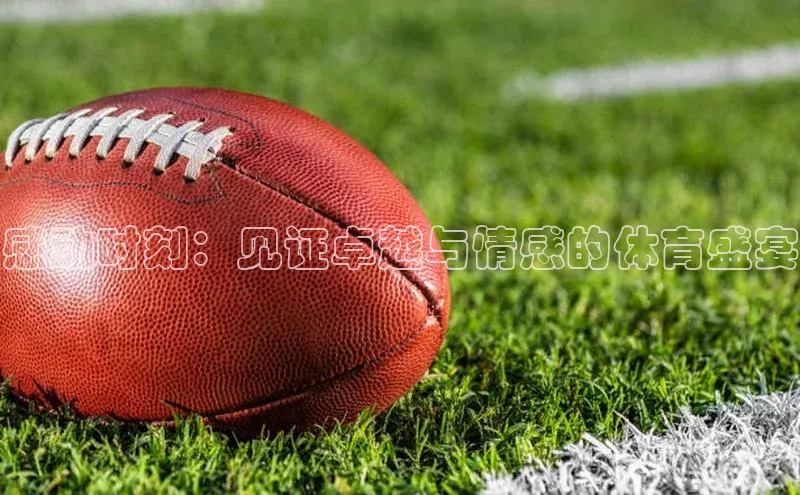 米兰app官网下载安装