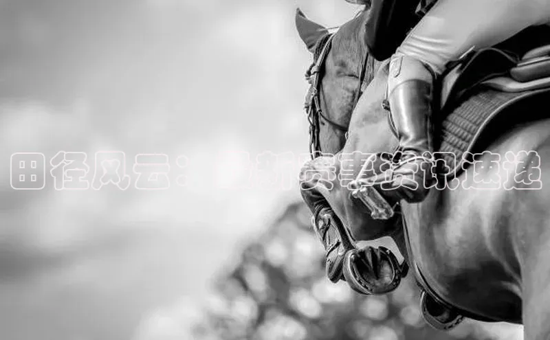 田径风云：最新赛事资讯速递