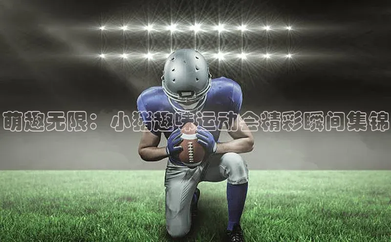 米兰app·体育登录入口