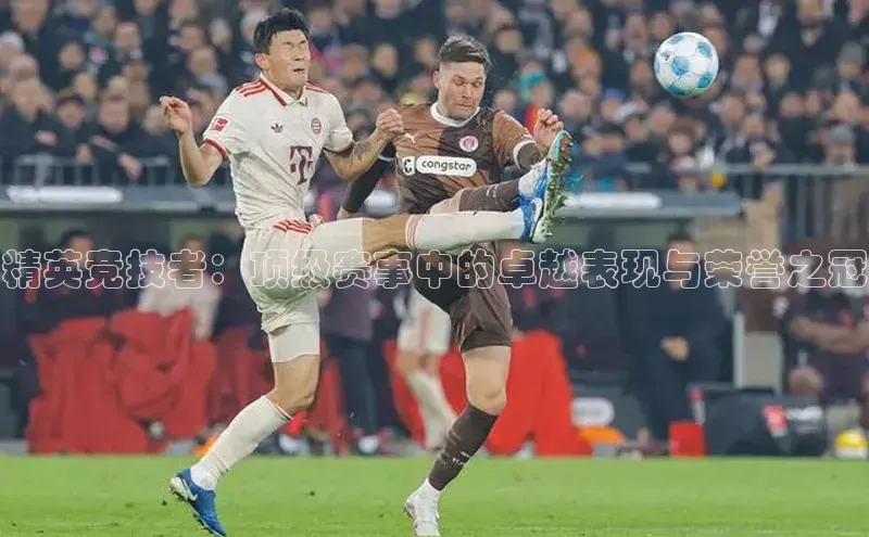 精英竞技者：顶级赛事中的卓越表现与荣誉之冠