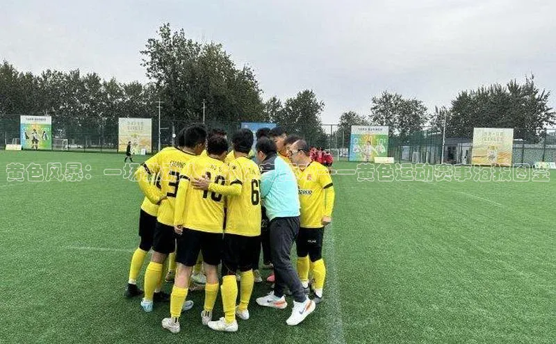 米兰·全站APP登录入口